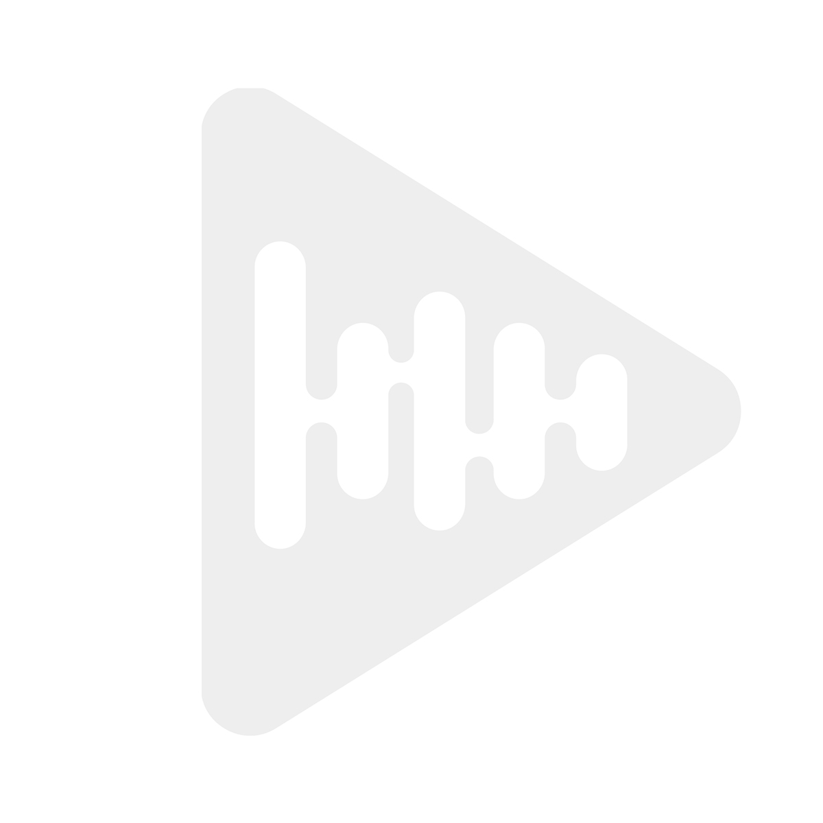 Toshiba NAS N300 (BRUKT)